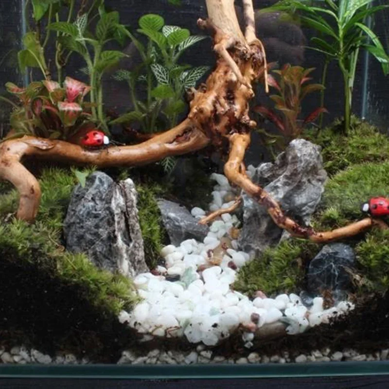 Натуральный ствол дерева Drift – обзор и цена Aquarium Marine Rock