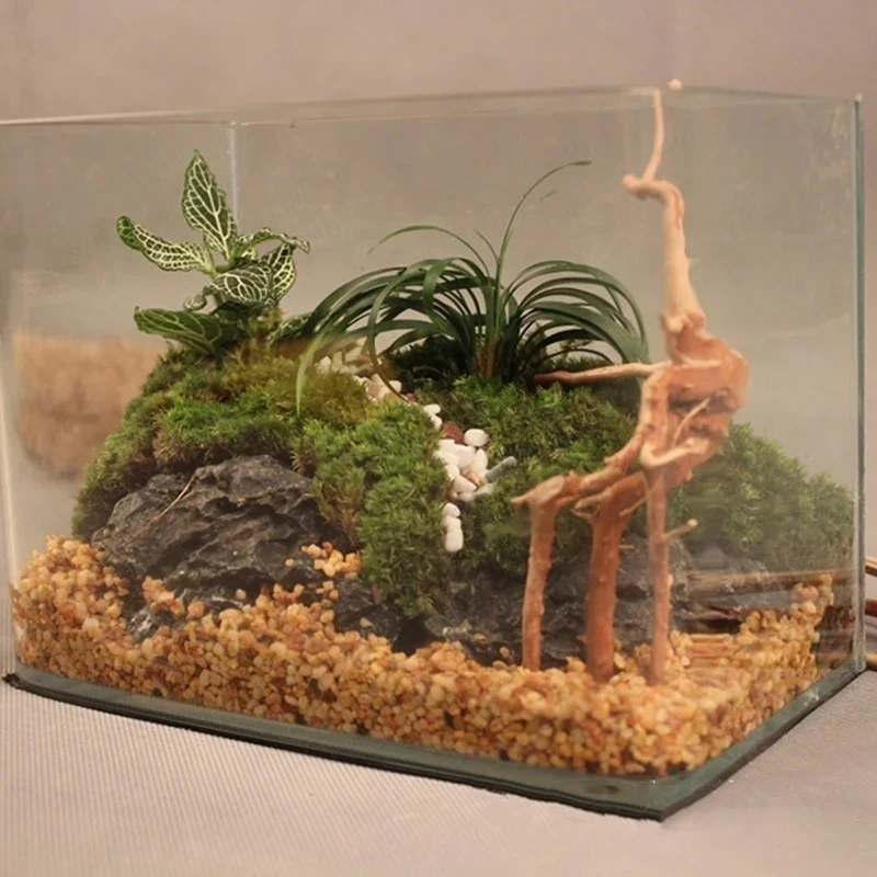 Натуральный ствол дерева Drift – обзор и цена Aquarium Marine Rock