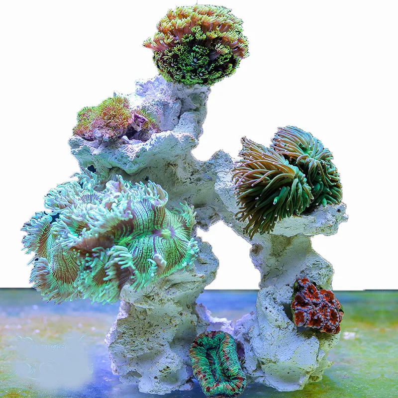 Морской стиль, коралловый риф, – обзор и цена Aquarium Marine Rock