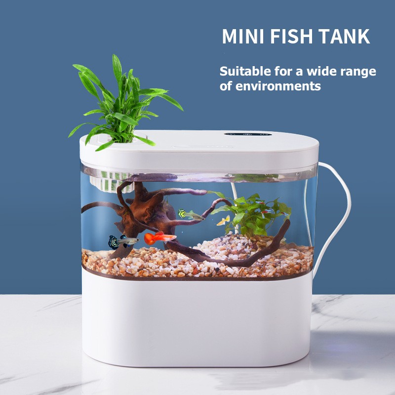 Мини-аквариум для рабочего сто – обзор и цена Marine Aquarium Water Change