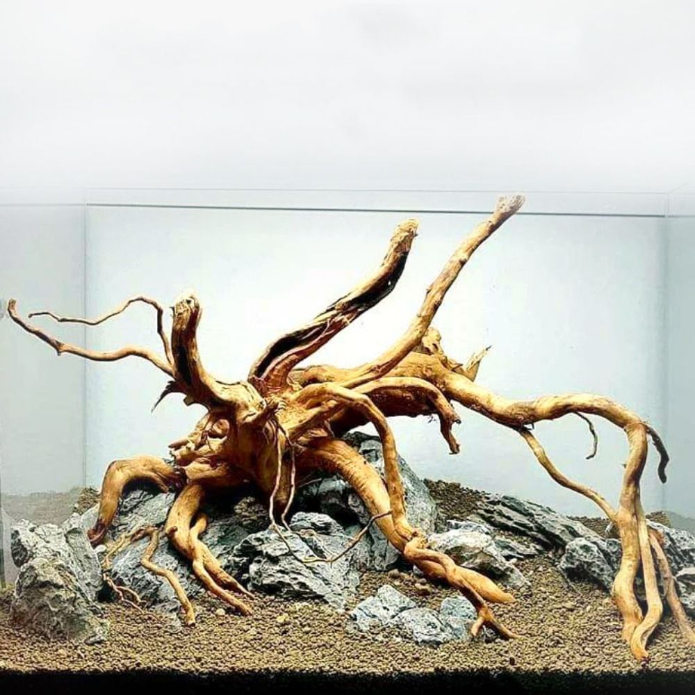 Натуральный ствол дерева, аква – обзор и цена Aquarium Marine Rock
