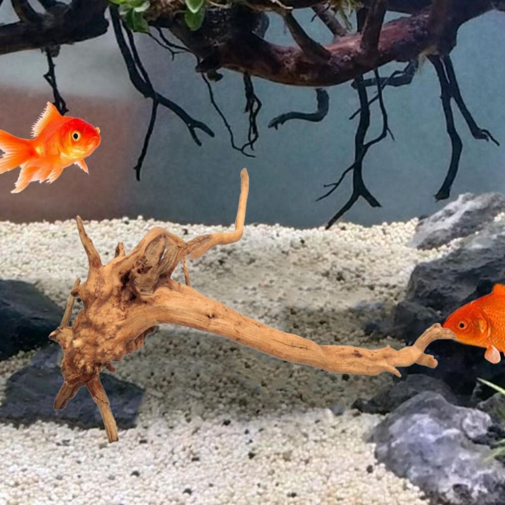 Натуральный ствол дерева, аква – обзор и цена Aquarium Marine Rock
