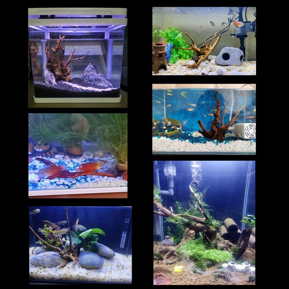 Натуральный ствол дерева, аква – обзор и цена Aquarium Marine Rock