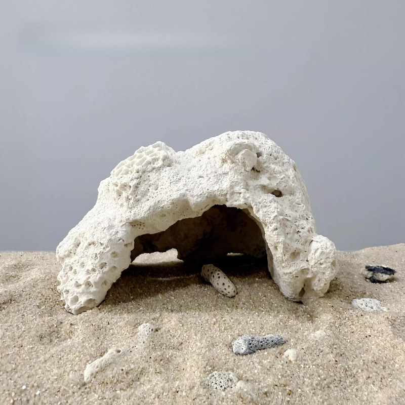 Каменная статуя в форме аквари – обзор и цена Aquarium Marine Rock