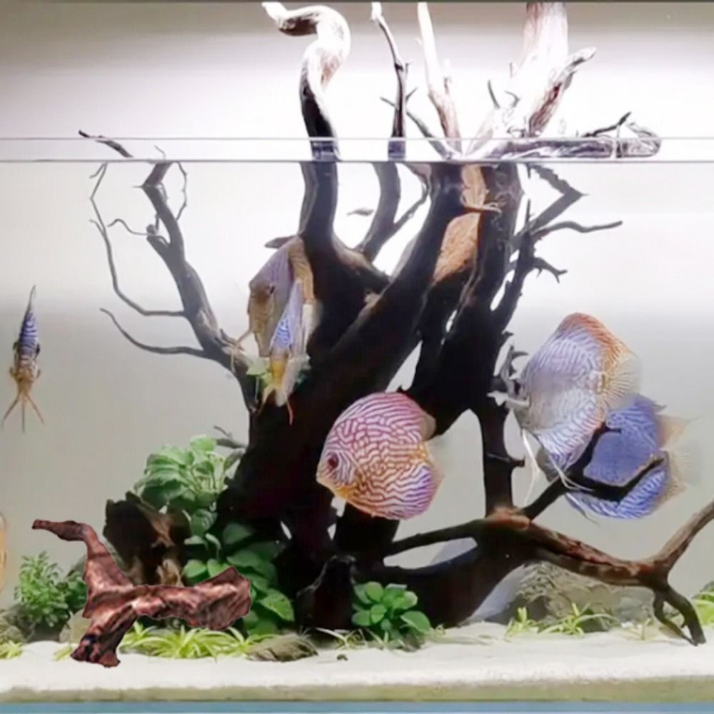 Декоративный коралловый корень – обзор и цена Aquarium Marine Rock