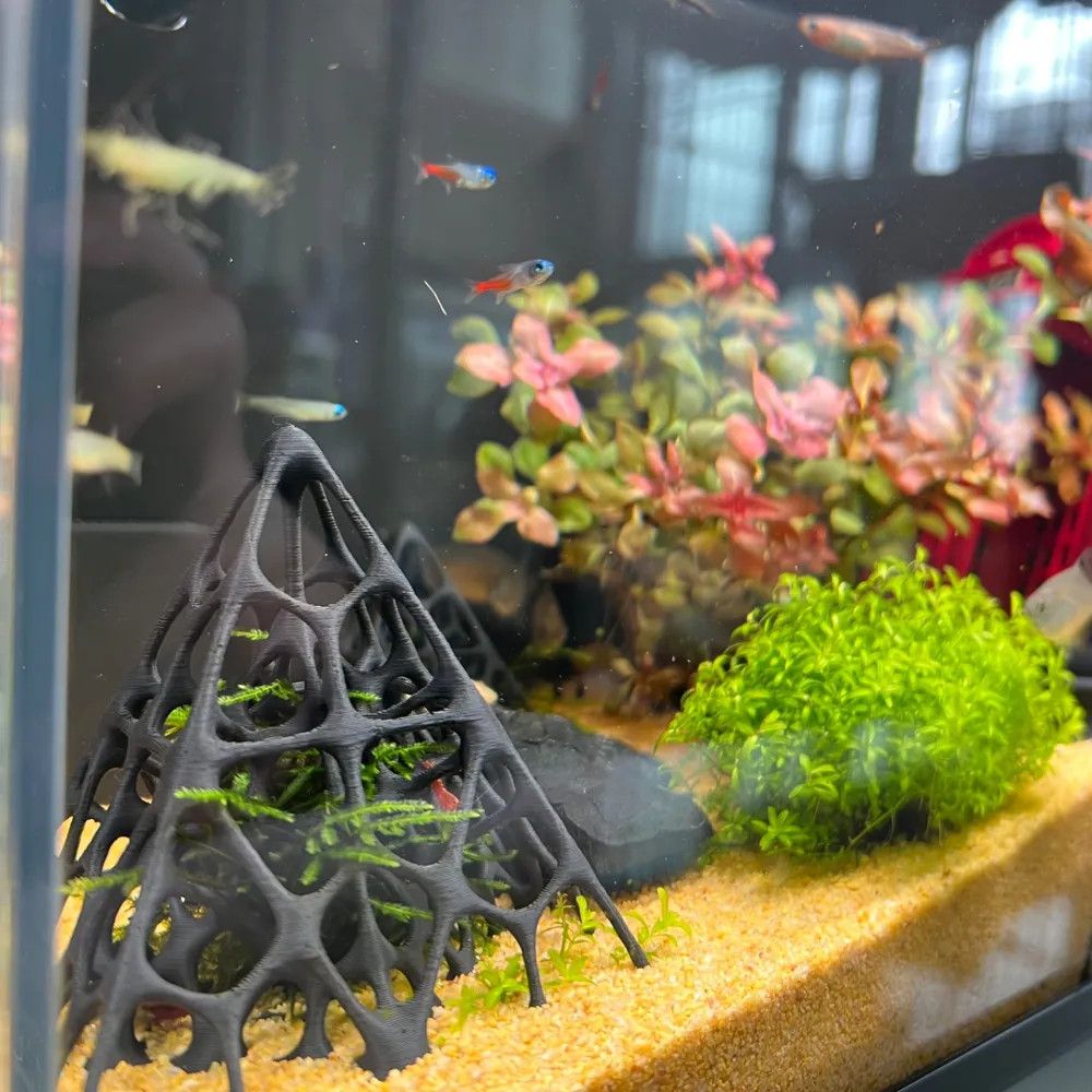 3D-печатный пирамидальный доми – обзор и цена Aquarium Marine Rock