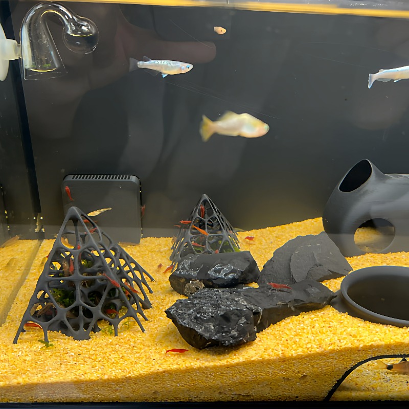 3D-печатный пирамидальный доми – обзор и цена Aquarium Marine Rock